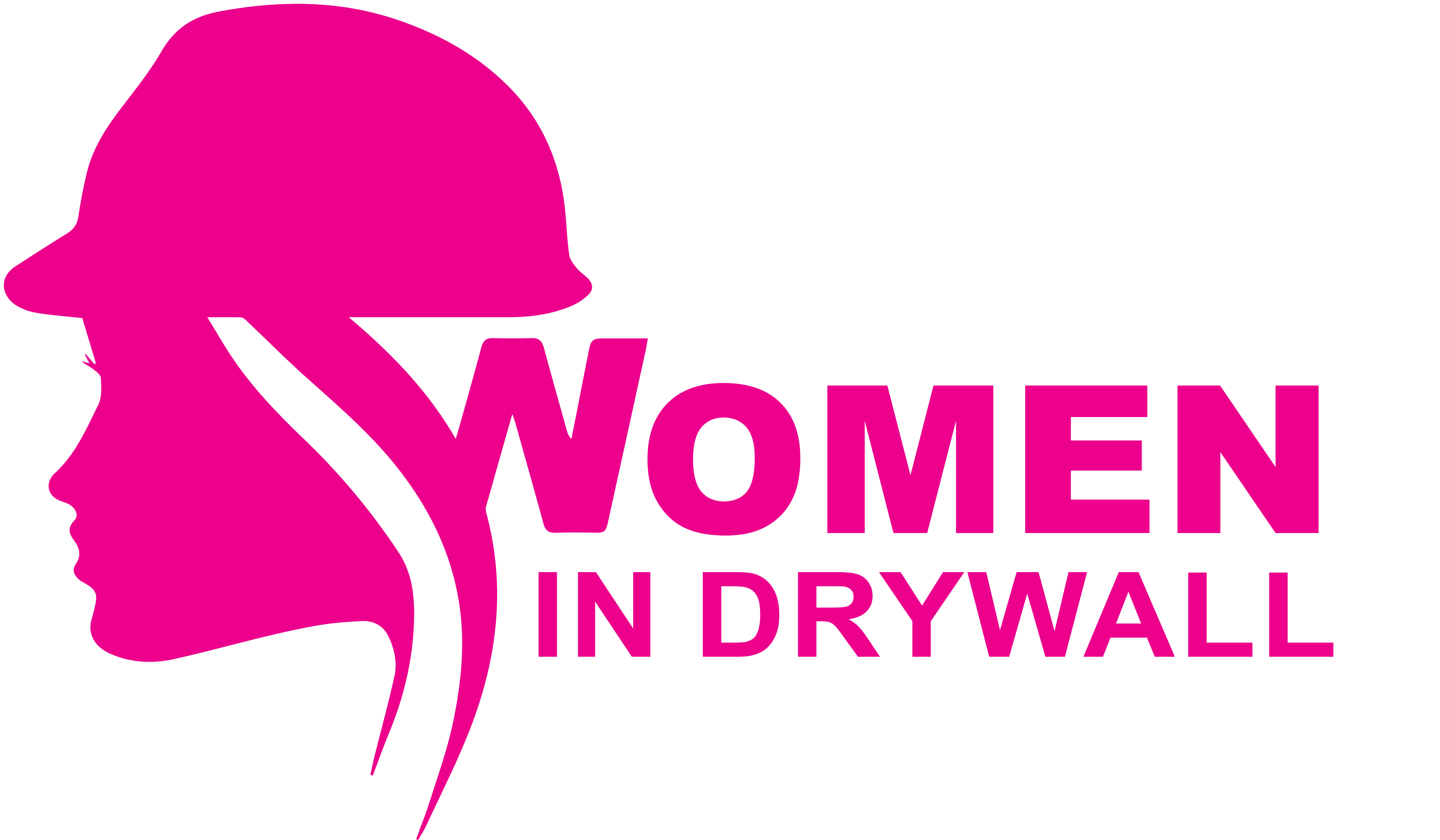 Women in Drywall